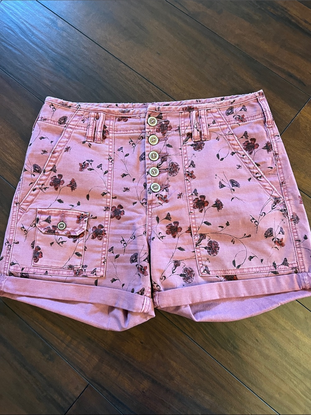 Anthropologie pink floral print shorts, the Wanderer, size 29
